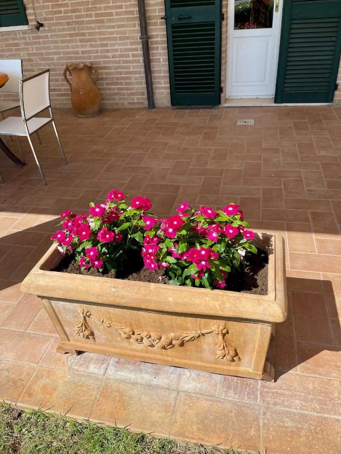 Appartamento La Posta Di Bacco Gualdo Cattaneo Esterno foto